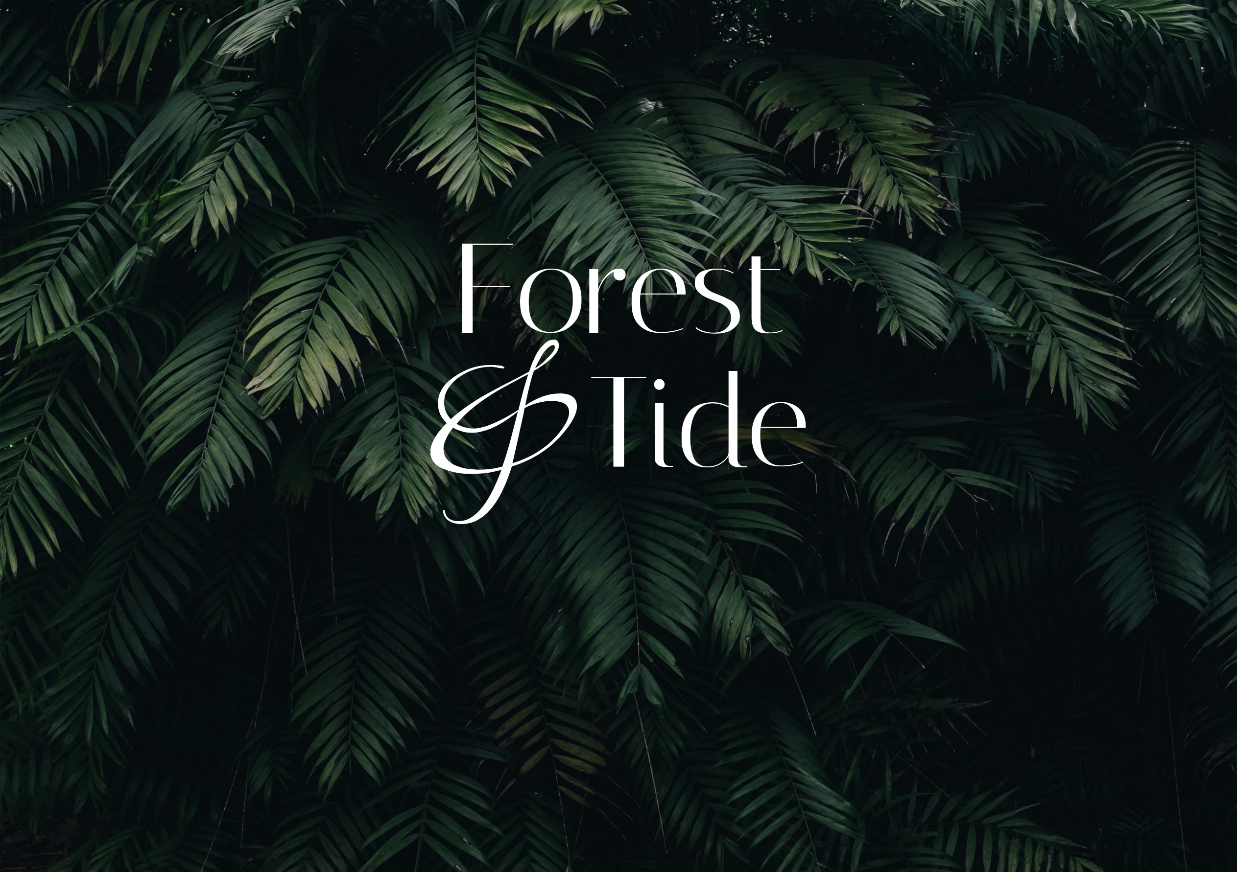 Identity and brand language — Brand guidelines
